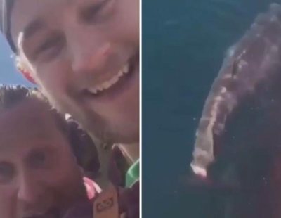 Dos pescadores cortan la cola a un tiburón para que muera lentamente y divertirse en redes sociales