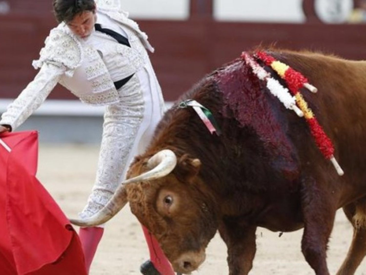 Denuncian una celebración taurina con menores en Córdoba