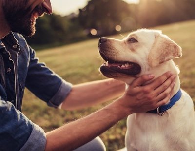 27 meses de cárcel por apedrear a un perro hasta matarlo delante de su hijo menor