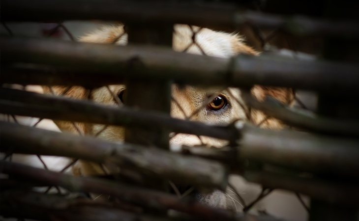 El acusado enfrenta penas de prisión hasta los seis años de cárcel