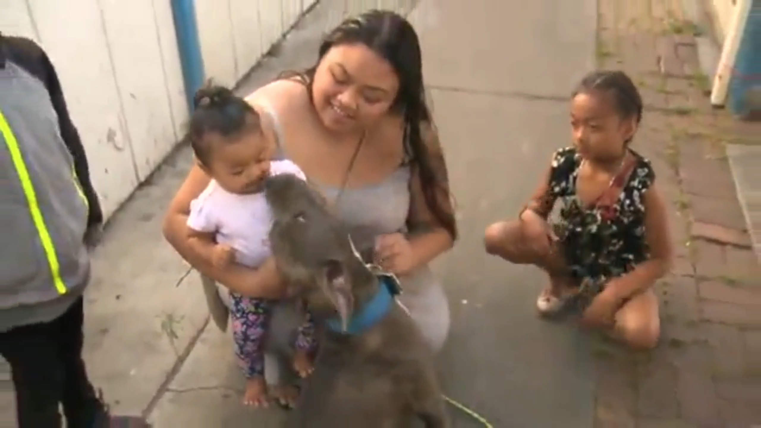 Latana Chai, su hija pequeña Masailah y Sasha, su perro pitbull