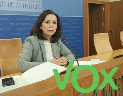 VOX en Andalucía: "La mayoría de denuncias de violencia de género no tienen fundamento"