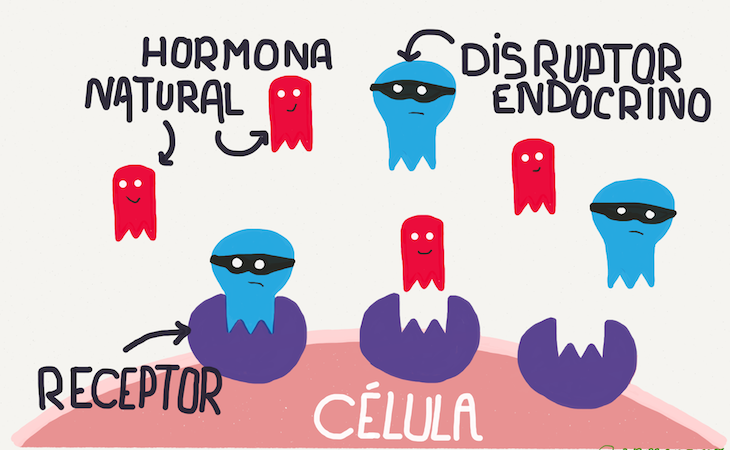 Los disruptores endocrinos son los culpables de la falta de deseo sexual