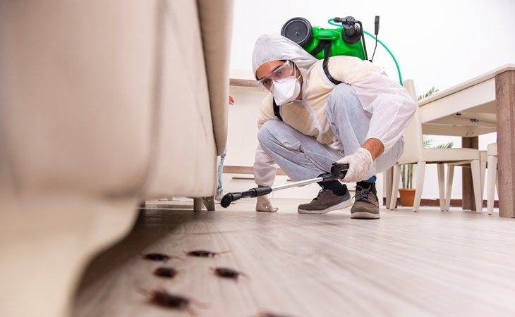 Trabajador llevando a cabo tareas de exterminación de cucarachas