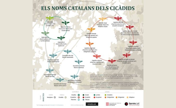 La infografía creada por TERMCAT es interactiva