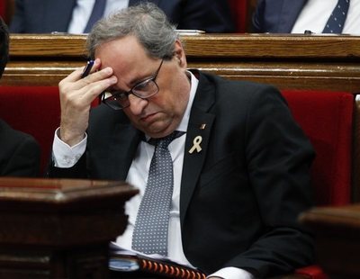 Torra financia un estudio infográfico sobre el nombre catalán de las cigarras