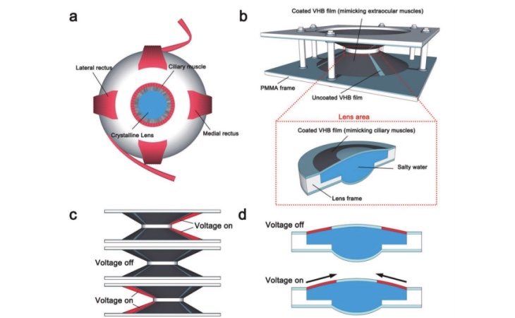 La tecnología permitirá ampliar la distancia focal