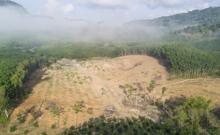 La deforestación del Amazonas crece en Brasil