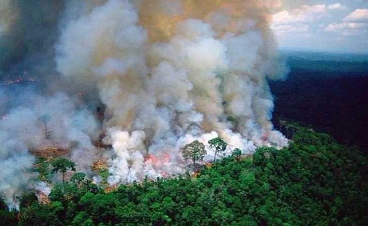 La selva Amazónica devorada por las llamas