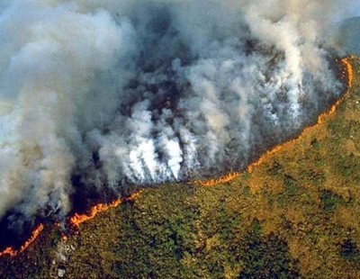 El Amazonas es devorado por las llamas: se quema el pulmón de la Tierra