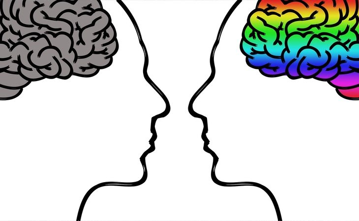 La investigación evidencia diferentes tipos de cerebro en función de una simple sílaba