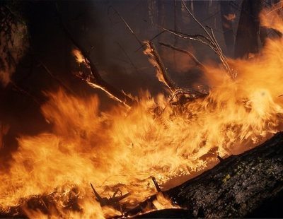 Por qué te afecta el incendio en la Amazonía, aunque vivas en la otra punta del planeta