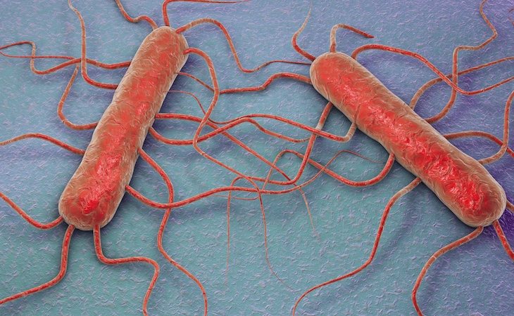 El brote de listeria ha dejado 200 afectados