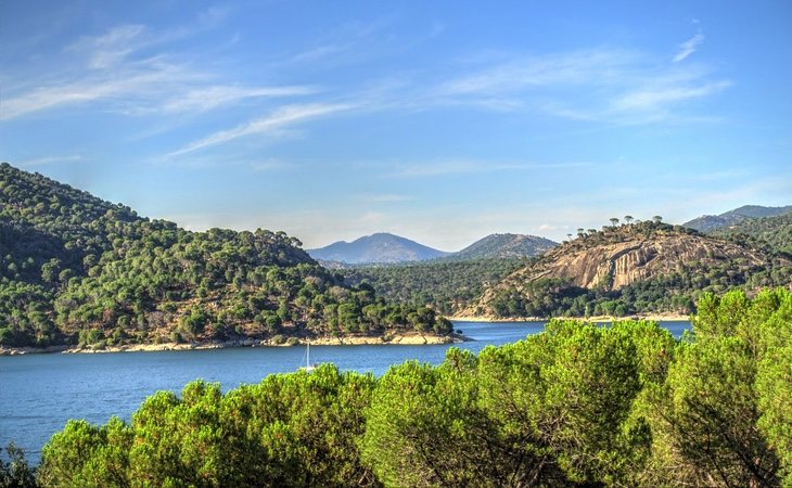 El entorno del Pantano de San Juan esconde auténticos bosques de mediterráneos