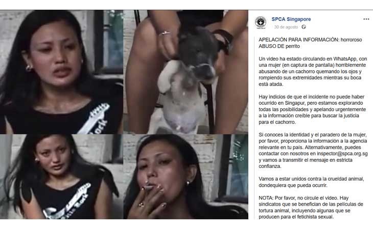 Comunicado de SPCA