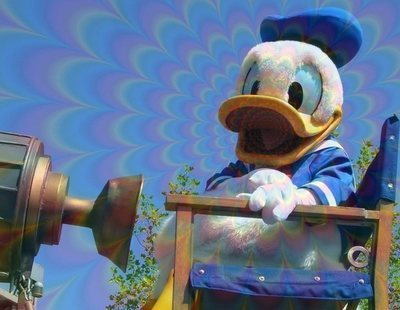 Dos días desaparecido en el lago de Disneyland tras consumir LSD y montarse en atracciones