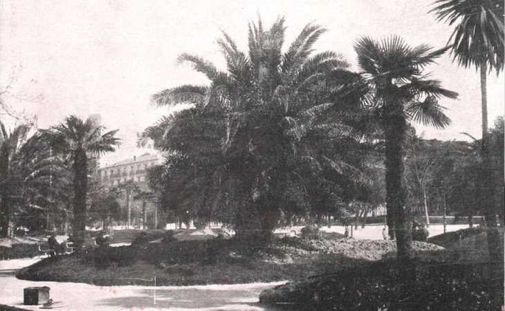 Paseo del Prado engalanado con flora de origen tropical