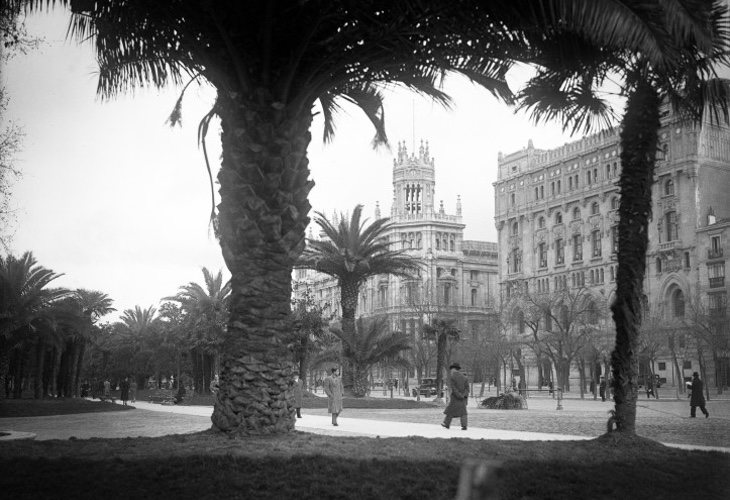 Paseo del Prado engalanado con palmeras