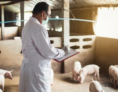 Alerta sanitaria: brote de fiebre Q en la Comunidad Valenciana