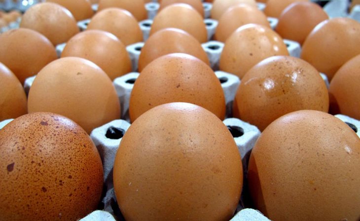 Los huevos con sangre en la yema son comunes