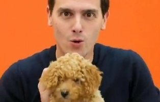 Albert Rivera desata una ola de memes al mostrar a su perro Lucas