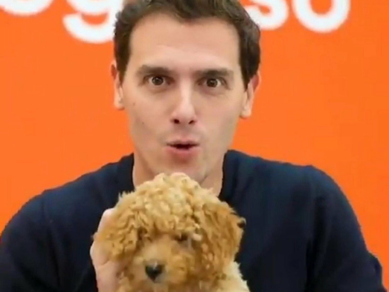 Albert Rivera desata una ola de memes al mostrar a su perro Lucas