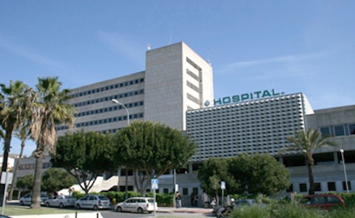 Satse denunció una plaga de hormigas en el Hospital Materno de Málaga