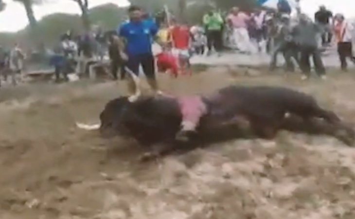 El Supremo prohibió la muerte del Toro de la Vega | Fuente: Captura de vídeo