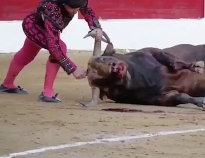 La crueldad de las corridas de toros: Un torero apuñala brutalmente a un toro en la cabeza