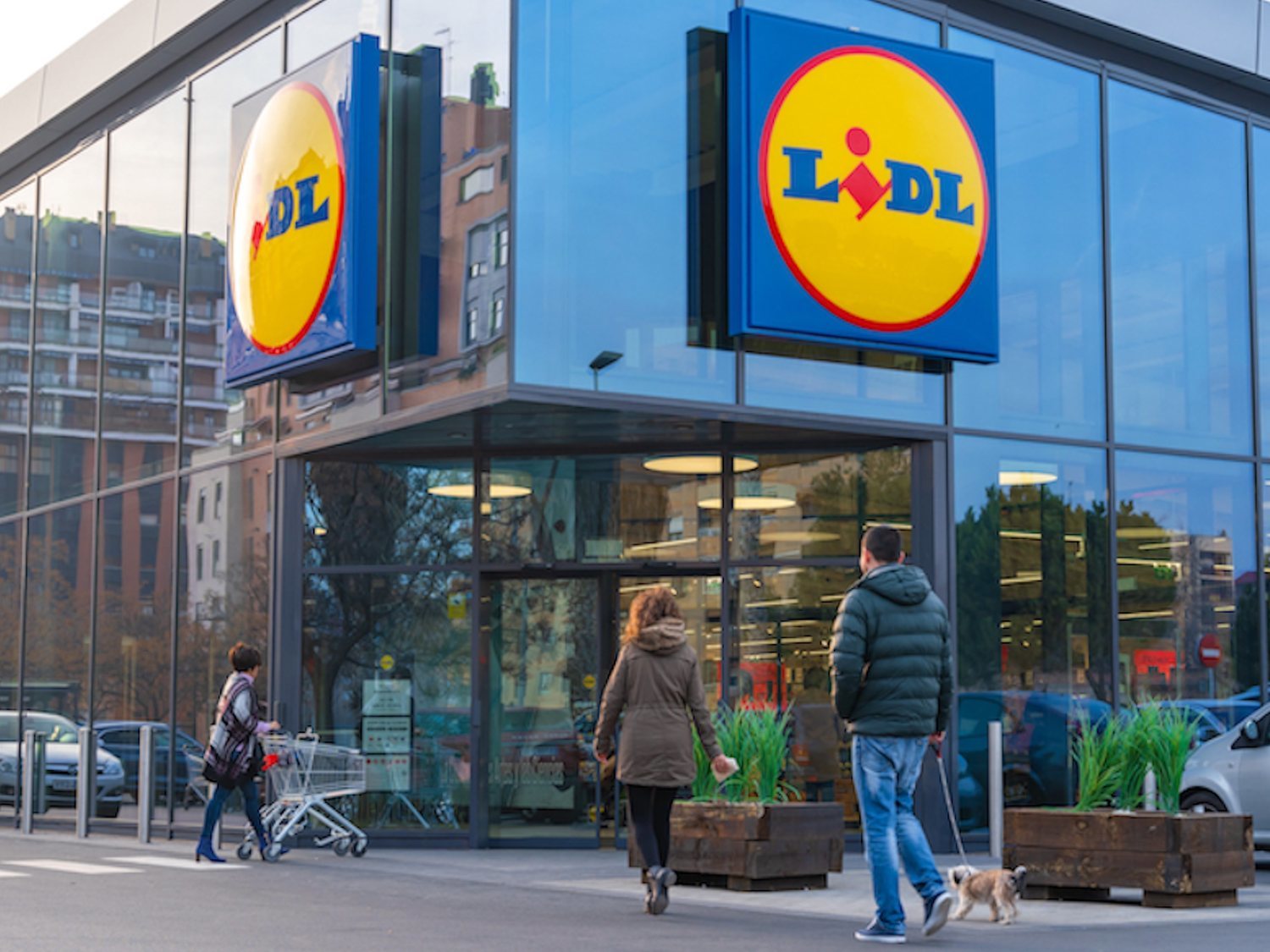 Contrato a jornada completa y 1.200 euros al mes: Lidl ofrece más de 40 ofertas de trabajo