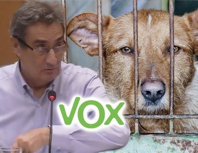 VOX plantea matar perros sin adopción en Zaragoza "sin raza reconocible, viejos o enfermos"