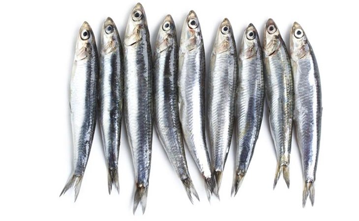 Los alimentos ricos en omega 3 tiene efecto antiinflamatorio