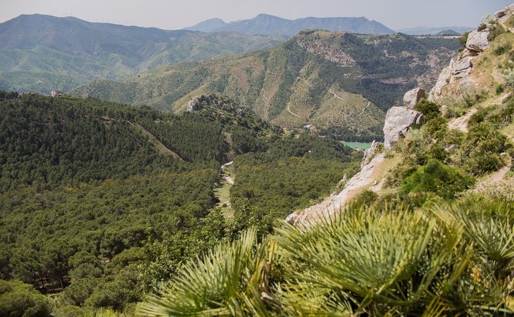 Bloomberg destaca la belleza del campo andaluz y las bondades de ciudades como Málaga o Sevilla