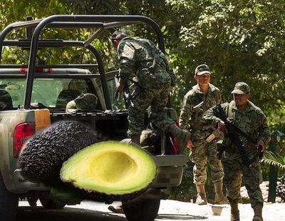 Los cárteles mexicanos de la droga, en guerra por el mercado del aguacate