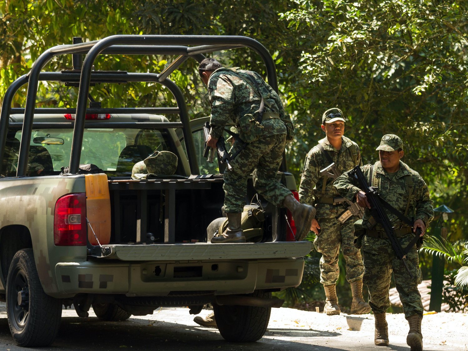 Los cárteles mexicanos de la droga, en guerra por el mercado del aguacate