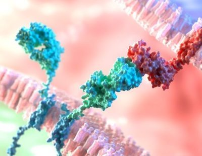 Científicos ingleses descubren una proteína capaz de curar todos los tipos de cáncer