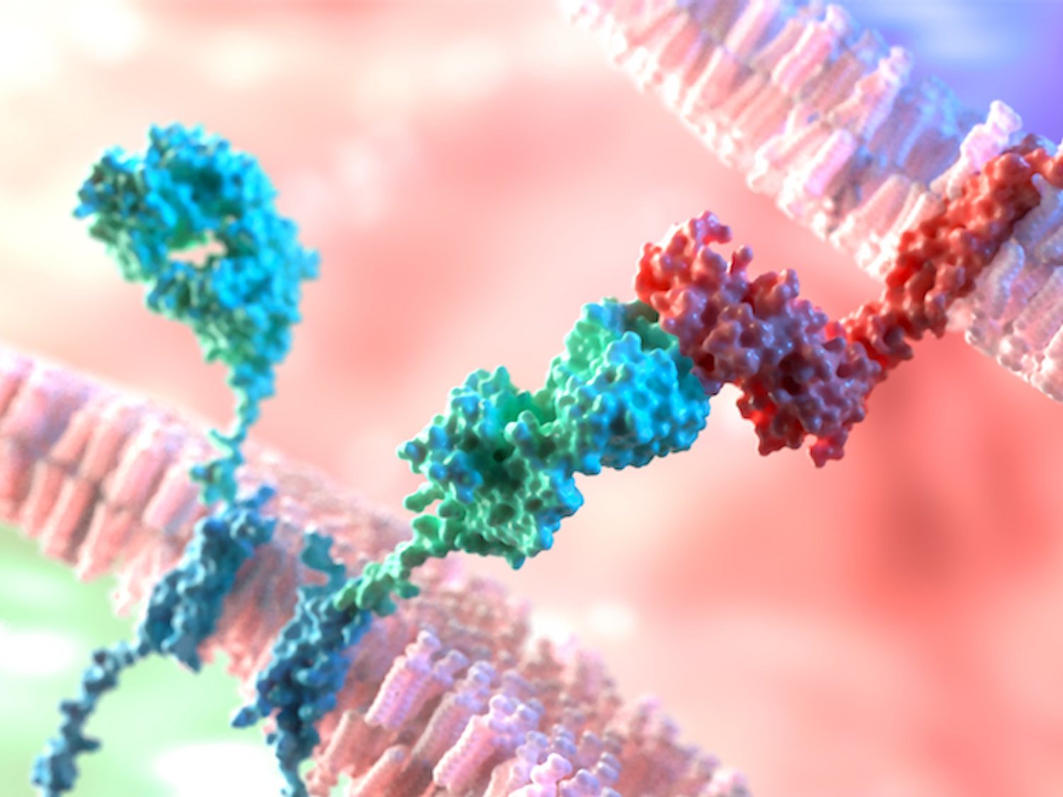 Científicos ingleses descubren una proteína capaz de curar todos los tipos de cáncer