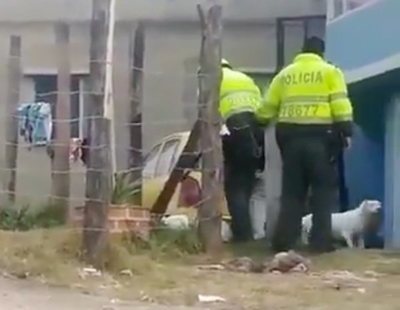 Graban a dos policías uniformados propinando una brutal paliza a un perro hasta la muerte