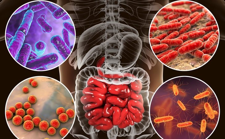 El microbioma, las bacterias que viven en nuestro organismo, pueden aportar muchos datos sobre nuestra salud y esperanza de vida