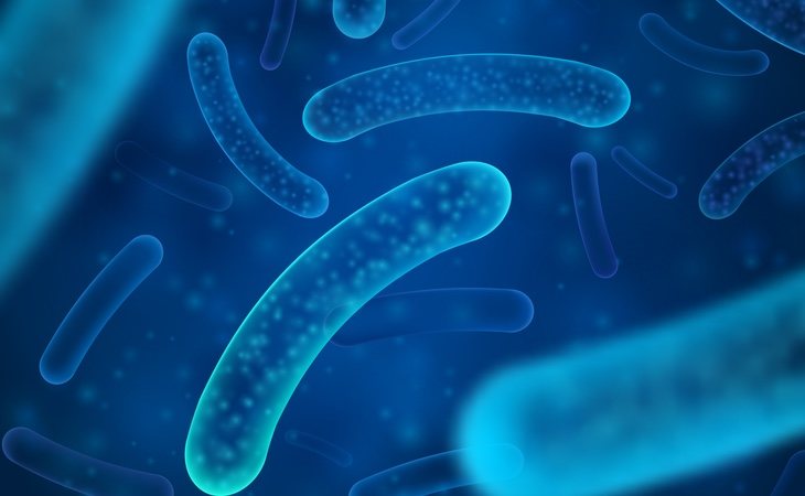 Las bacterias que habitan en nuestro cuerpo son más permables a nuestros hábitos de vida y factores ambientales