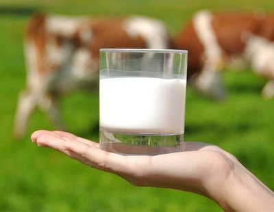 Quién fabrica la leche de marca blanca de Mercadona, Carrefour, Lidl, Dia y Alcampo