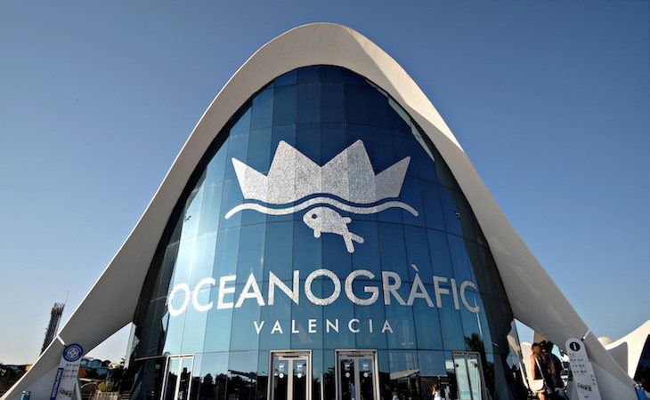 Tras no autorizarla, el padre llevó a su hija al Oceanogràfic