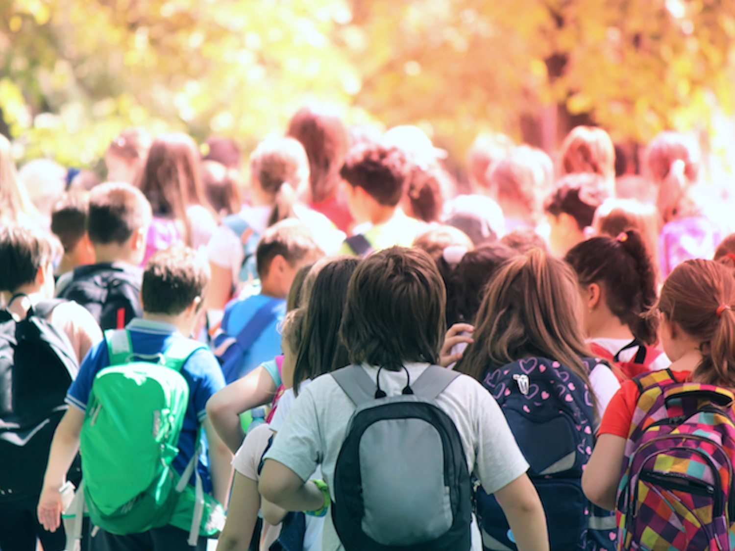 Impide que su hija se vaya de excursión porque "no entiende" la autorización en valenciano