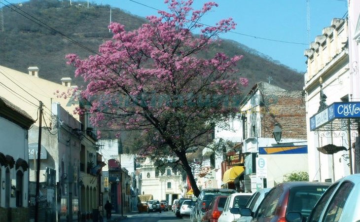 Los hechos se han producido en la localidad argentina de Salta