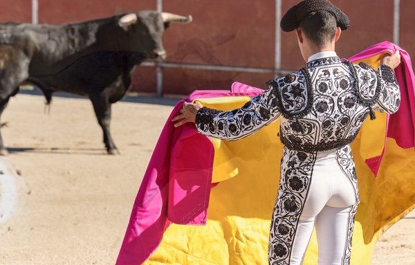 En Panamá se prohíbe expresamente la celebración de corridas de toros desd el año 2011