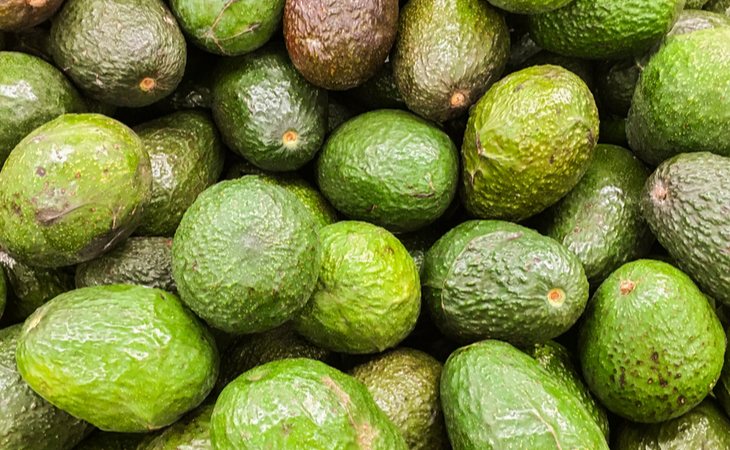 Se ha demostrado que el aguacate mejora la capacidad de memoria gracias al Omega 3, que estimula la circulación sanguínea.