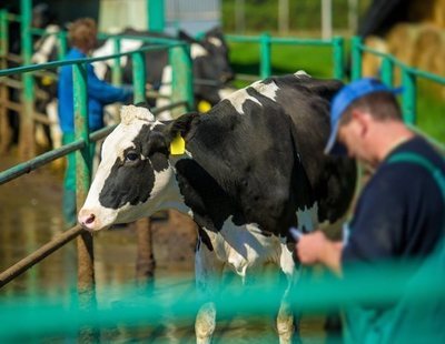 El consumo de carne y el sacrificio de animales en España se hunden por el coronavirus