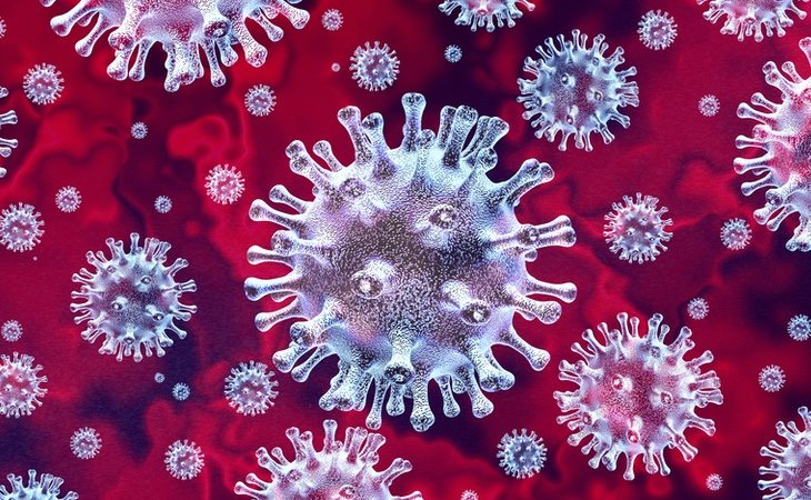 El coronavirus hallado en 2018 guarda muchas similitudes con el actual