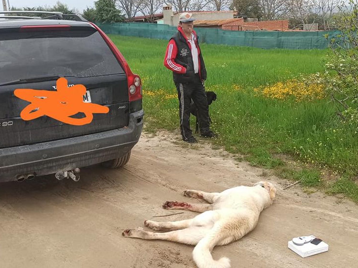 Se salta el confinamiento en Madrid y asesina a su perro con el coche ante su hijo de diez años