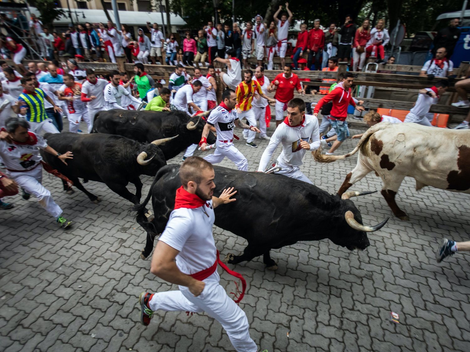 Pamplona cancela los Sanfermines 2020 por el coronavirus